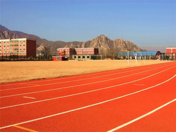 湘潭市塑胶地坪学校塑胶跑道 - 推荐